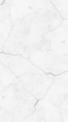 Obraz premium Panoramic white marble stone texture background for design projects, surface