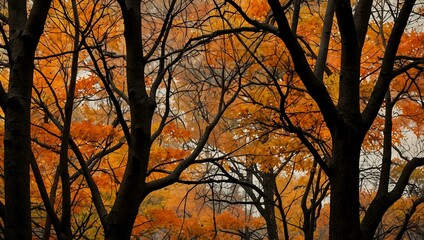 Flowing branches in orange and brown tones.