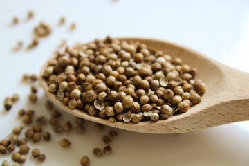 Coriander seeds dry herb