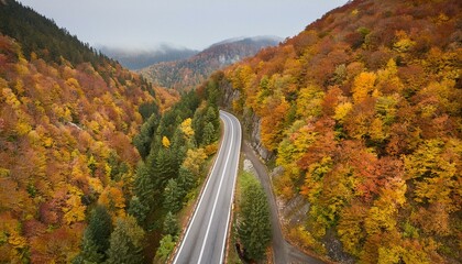Naklejka premium Colorful image of bright autumn forest road