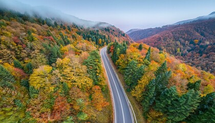 Fototapeta premium Colorful image of bright autumn forest road