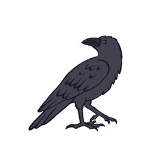 Hand drawn inky sketch style raven or crow isolated on white background. Mystic black bird