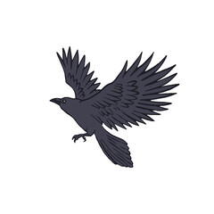 Hand drawn inky sketch style raven or crow isolated on white background. Mystic bird flying