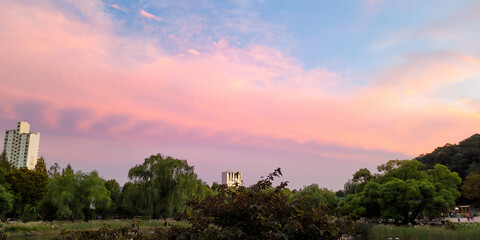 Obraz premium Beautiful landscape with a stunning Sunset, in Boramae Park, in Seoul, Korea