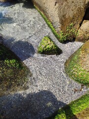tide in the rocks
