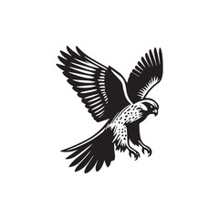 Fototapeta premium High-Quality Falcon Silhouette Vector Set