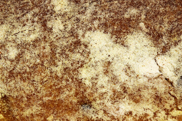 The image of the bread surface, texture.