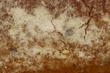 The image of the bread surface, texture.