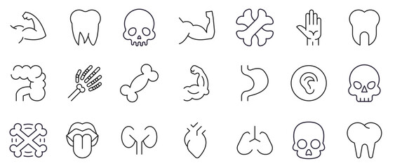 Fototapeta premium Internal Organs, Teeth and Bones Simple Isolated Line Icons Collection. Editable