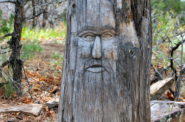 Face carved into a tree stump on a trail near Durango, Colorado