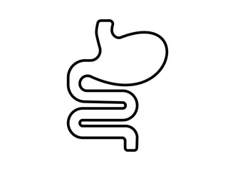 Digestion stomach intestine icon simple flat style, pictogram vector illustration isolated on white