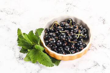 Juicy black currant berries in the bowl