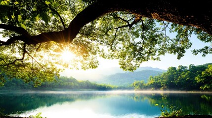 Obraz premium The sun rising over a river, casting long shadows across the water and illuminating the surrounding trees and vegetation with a golden glow, creating a sense of peace and tranquility.