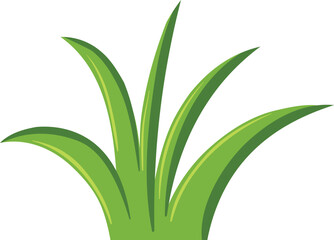 Green Grass Borders Set Isolated on White Background, Vector Illustration, flat style. green leaf. Grass illustration isolated on white background