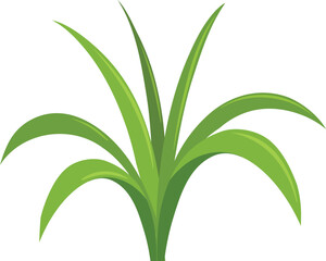 Green Grass Borders Set Isolated on White Background, Vector Illustration, flat style. green leaf. Grass illustration isolated on white background