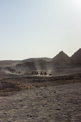Camel caravan in front of The Great pyramid and The Sphinx in Giza pyramid complex - Cairo, Egypt