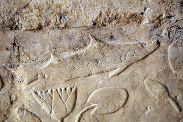 Relief of underwater landscape in Mortuary temple of Hatshepsut in Deir el-Bahari, Egypt