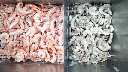 Species of frozen shrimps close up in a freezer