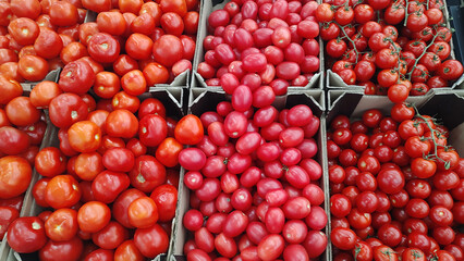 Fresh tomatoes vegetables at farmers market