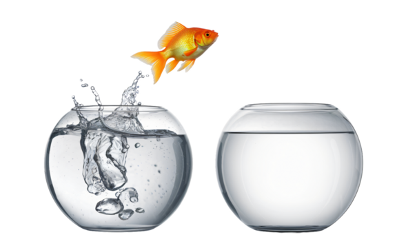 Goldfish Jumps from Crowded Fishbowl to New, Empty One isolated on a transparent background. generative ai - Powered by Adobe