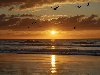 Fototapeta premium Golden sunset over the ocean with seagulls.