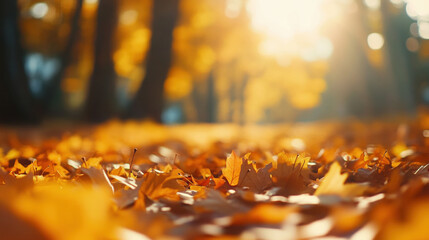 Golden autumn forest with fallen leaves on ground, creating warm and tranquil atmosphere. sunlight filters through trees, enhancing beauty of scene