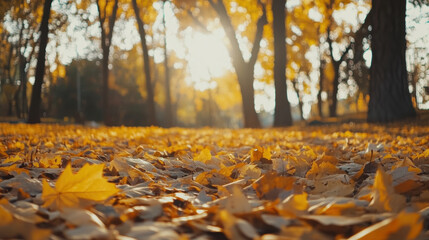 Golden autumn forest with fallen leaves on ground, illuminated by sunlight. scene evokes sense of tranquility and beauty of nature