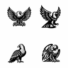 Borelli  Eagle vector icon white background.