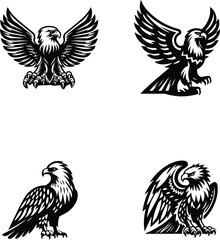Obraz premium Borelli Eagle vector icon white background.