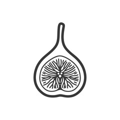 Line Drawing Of A Halved Fig With Seeds And Stem