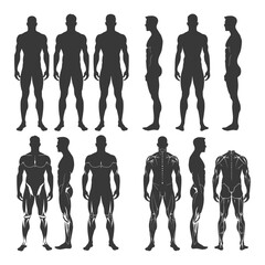 Male Body Silhouettes In Various Poses Including Muscle Definition