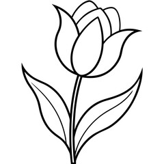 tulip line art vector