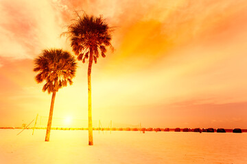 Tropical beach