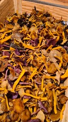 Une belle cueillette de petits champignons à l'automne