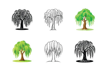 Weeping Willow Tree Vector Set - Elegant Botanical Illustration for Tranquil Nature and Scenic Designs © Abdus Salam