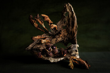 exquisite, original still life, phyto design, flower arrangement, ikebana, minimalism, chestnut...