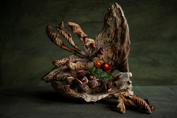 exquisite, original still life, phyto design, flower arrangement, ikebana, minimalism, chestnut...