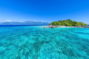 Fototapeta premium Discover the stunning beauty of Ningaloo Reef's corals and diverse marine life in Coral Bay, Western Australia—an underwater paradise awaits.