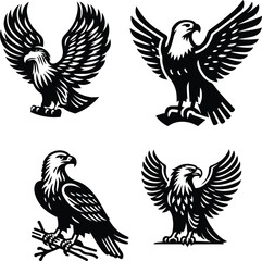 Genus Aquila silhouette vector icon white background.