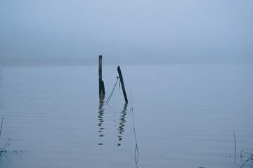 Fototapeta premium Scenic view of a lake during a foggy day during winter