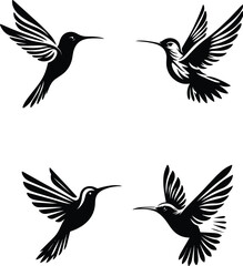 humming bird vector silhouette white background.