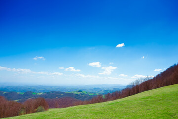 Beautiful Spring Meadow and Clear Blue Sky 