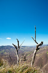 Spring mountain view