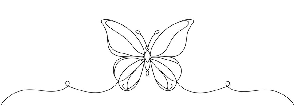 Continuous butterfly one line drawing and simple single outline vector Drawing.