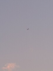 airplane in the sky