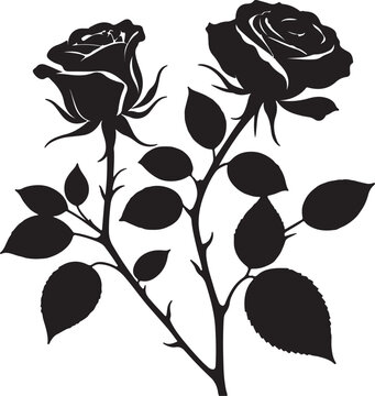 Black Silhouette Roses with Leaves Vector Illustration