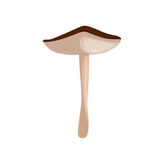 Russula on a white background vector illustration
