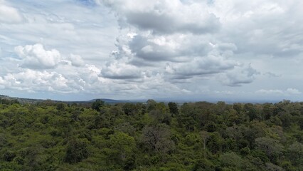 Rippling Grasslands Beneath Vast Skies