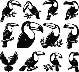 Toucans vector icon 10 set bundle birds white background.
