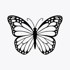 butterfly drawing art vector design